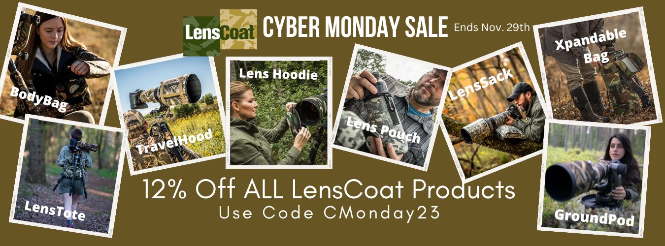 Cyber Monday 2023 Banner 2